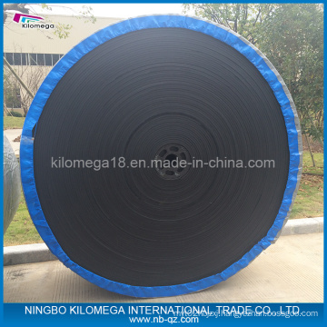 Polyster Fabric Conveyor Belt for Shipment